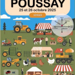 427ème Foire de Poussay (88)