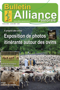 Bulletin de l'Alliance Pastorale N°969 - Octobre 2025
