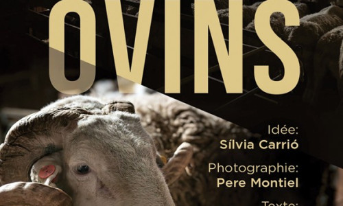 A propos des Ovins. Exposition de photos itinérante  autour des ovins