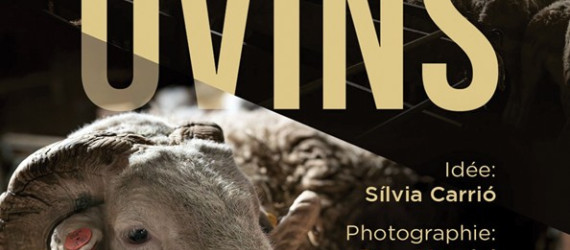 A propos des Ovins. Exposition de photos itinérante  autour des ovins