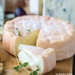 Déroulé de fabrication  d’un fromage  Pâte molle lactique  à croûte lavée