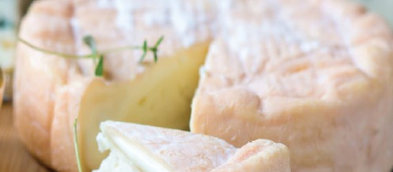 Déroulé de fabrication  d’un fromage  Pâte molle lactique  à croûte lavée