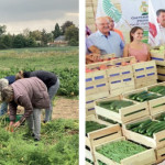 Bilan des Journées nationales du don agricole. Près de 100 actions en un mois !