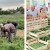 Bilan des Journées nationales du don agricole. Près de 100 actions en un mois !