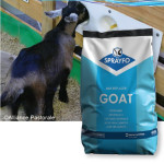 Évolution de formule : SPRAYFO CHÈVRE