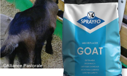 Évolution de formule : SPRAYFO CHÈVRE