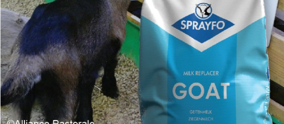 Évolution de formule : SPRAYFO CHÈVRE