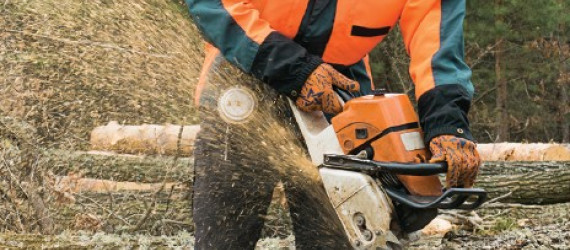 Bûcheronner  en toute sécurité