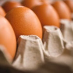 Journée ITAVI – Œufs et Poules pondeuses (35)