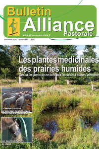 Bulletin de l'Alliance Pastorale N°971 - Décembre 2025