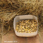 Les besoins  alimentaires  du cheval