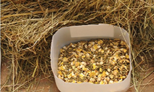 Les besoins  alimentaires  du cheval