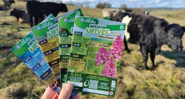 Mission Nature 10 ans de pâturage au service de la biodiversité en Bourgogne