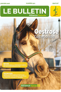 Bulletin de l'Alliance Pastorale N°972 - Janvier 2026