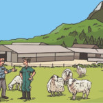La Bêêêlettre, nouvelle newsletter sur l’expérimentation en filière Ovins lait