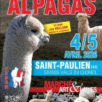 Concours Alpagas (43)