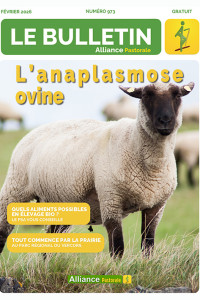 Bulletin de l'Alliance Pastorale N°973 - Février 2026