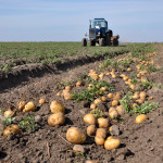 Solaal, association du don agricole fait le bilan