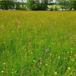 Concours Général Agricole – Pratiques Agro-Écologiques (CGA PAE)   Ce qu’il faut retenir pour l’édition 2026