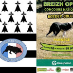 Breizh Open – Concours National de Border Collie (44)