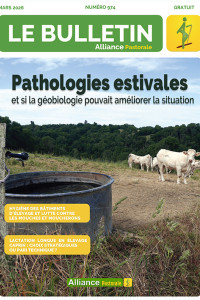 Bulletin de l'Alliance Pastorale N°974 - Mars 2026