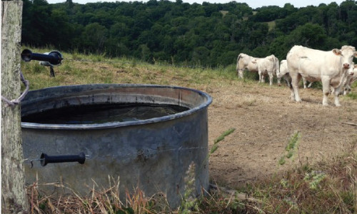 Pathologies estivales : et si la géobiologie pouvait améliorer  la situation