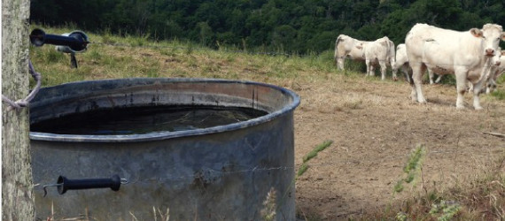 Pathologies estivales : et si la géobiologie pouvait améliorer  la situation