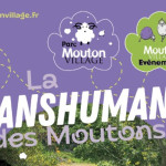 Transhumance de Mouton Village (79 & 86)