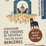 Concours de chiens de troupeau toute races Bergères (78)
