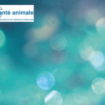 Rappels sur la gestion  des avortements