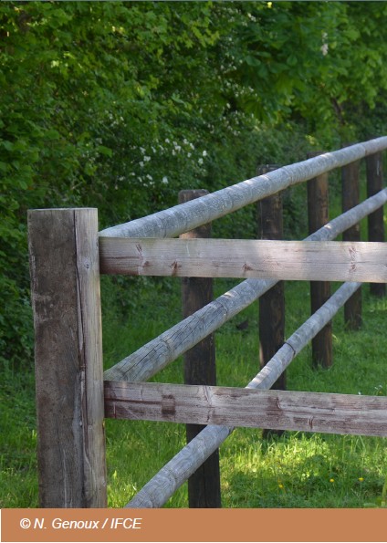 Clôtures équestres : ce qu’il faut savoir