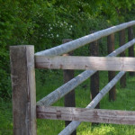 Clôtures équestres : ce qu’il faut savoir