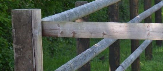Clôtures équestres : ce qu’il faut savoir