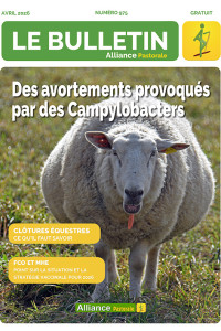 Bulletin de l'Alliance Pastorale N°975 - Avril 2026