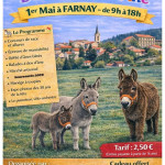 30 fête à la découverte de l’âne de Farnay (42)