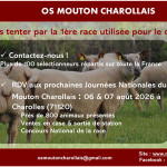 64e Concours National du Mouton Charollais (71)