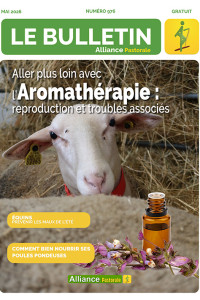 Bulletin de l'Alliance Pastorale  N976 - Mai 2026