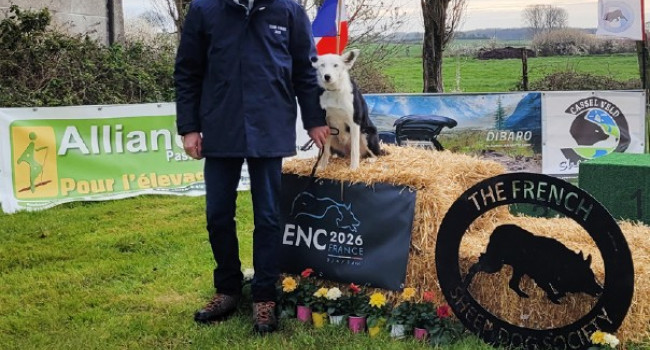 Championnat  d’Europe de Border Collie de Nursery
