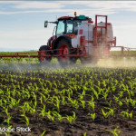 Pulvérisation Faut-il traiter le matin, le soir ou la nuit ?