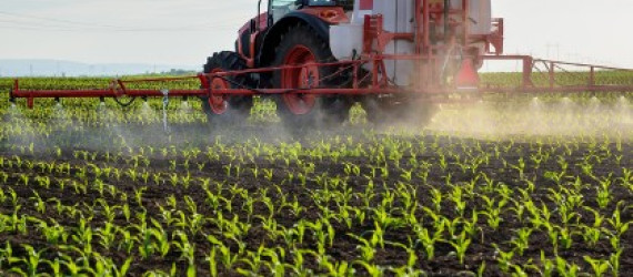 Pulvérisation Faut-il traiter le matin, le soir ou la nuit ?