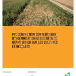 Dégâts de gibier :  comment déclarer  et être indemnisé ?