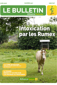 Bulletin de l'Alliance Pastorale N°977 - Juin 2026