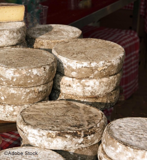 La Tome des Bauges, unique Tome AOP  de France