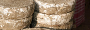 La Tome des Bauges, unique Tome AOP  de France