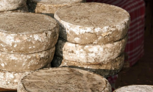 La Tome des Bauges, unique Tome AOP  de France