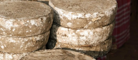 La Tome des Bauges, unique Tome AOP  de France