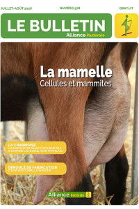 Bulletin de l'Alliance Pastorale N°978 - Juillet-Août 2026