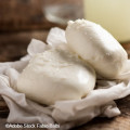 Déroulé de fabrication  d’une Mozzarella fraîche