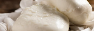 Déroulé de fabrication  d’une Mozzarella fraîche