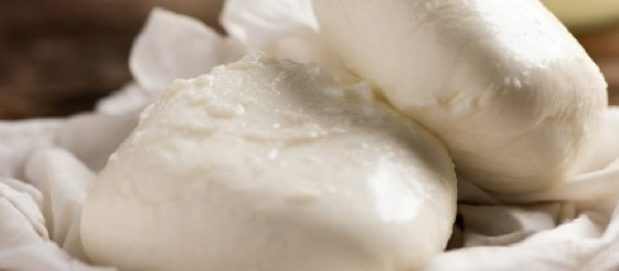 Déroulé de fabrication  d’une Mozzarella fraîche